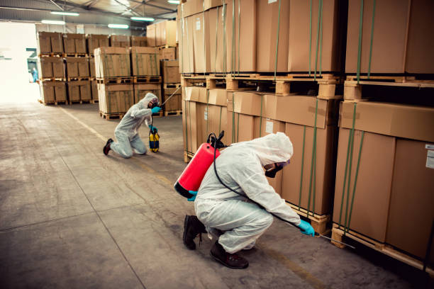 Best Ant Control Services  in Wmington, IL