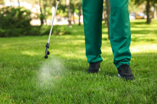 Best Exterminator Services  in Wmington, IL