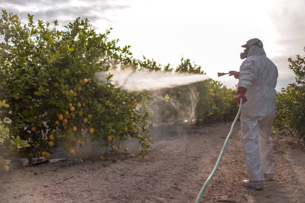 Best Flea Control Services  in Wmington, IL