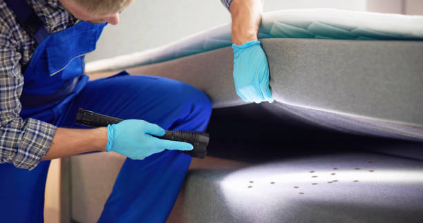 Best Local Pest Control Services  in Wmington, IL