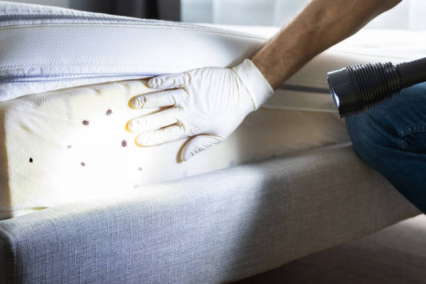 Trusted Wilmington, IL Pest Control Experts
